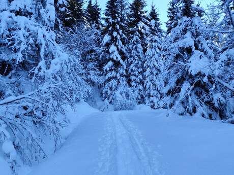 Boucle des Plaines - snowshoe trail