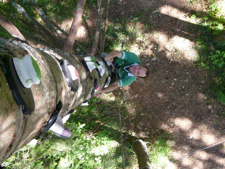 Escal'arbre