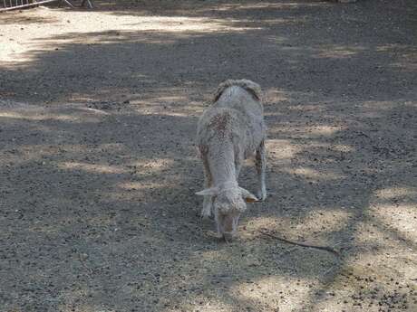 Raconte-moi à la ferme