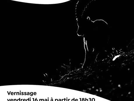 EXPOSITION  "Rêves du noir...au blanc"