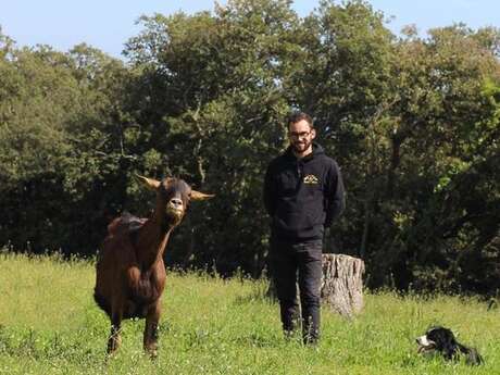 La ferme de la Bastide de Solliès