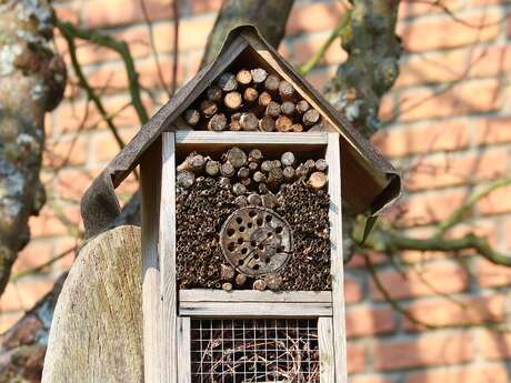 NOUVEAU  : Atelier "Aventurier de la biodiversité "