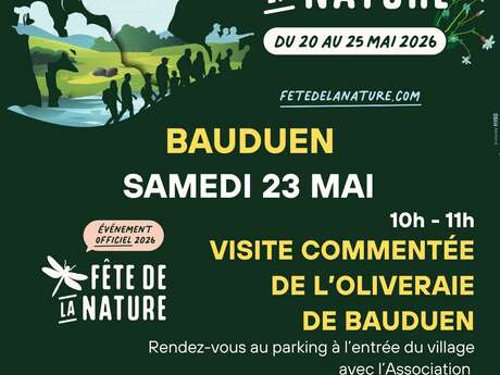 Visite commentée de l'Oliveraie de Bauduen
