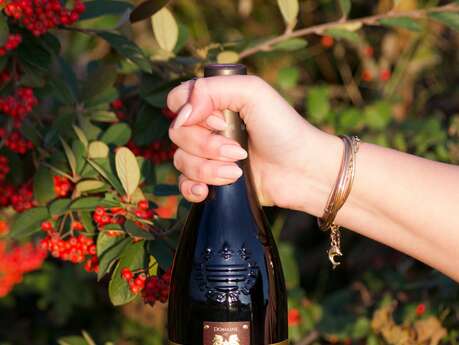 Domaine de l'Ancien Prieuré