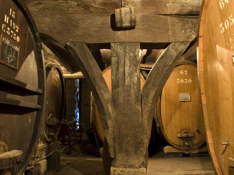 Visite et dégustation aux Caves du Château La Tour de Marignan