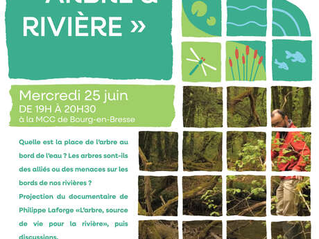 [Les Mercredis au fil de l'eau] Ciné-débat "Arbres et rivières"
