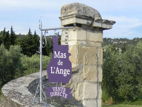 Mas de l'Ange