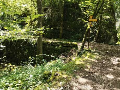 Parcours permanents de course d'orientation du secteur de la Grotte du Loup