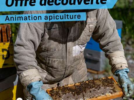Offre découverte : Le monde des abeilles