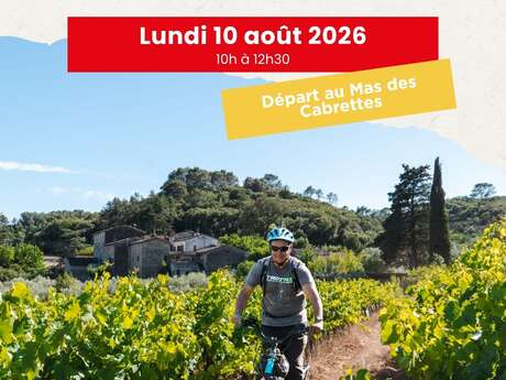 Balade Vigneronne