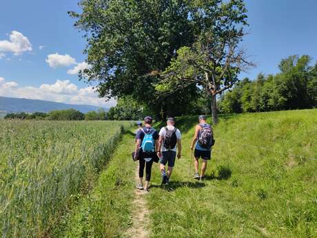Sentier pédestre la Pomme