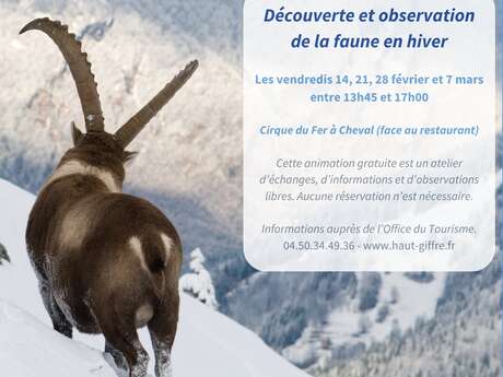 Animation "Les animaux face à l'hiver"