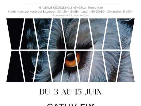 Exposition : Cathy FIX