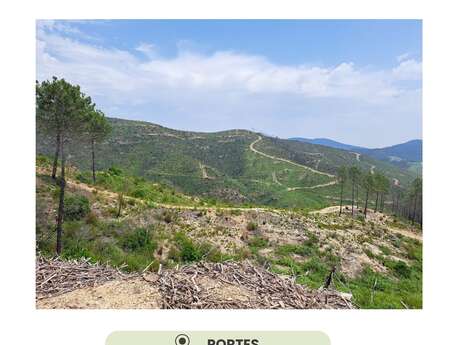 Sortie découverte - Halte aux flammes !