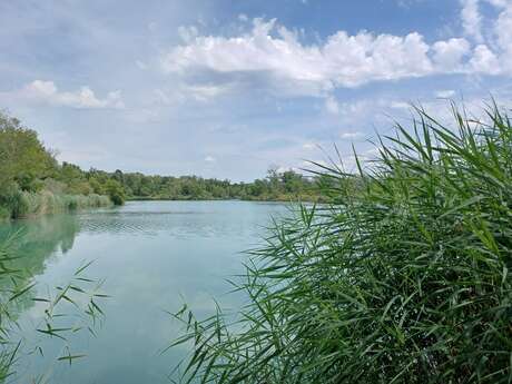 Lac de pêche de la Forestière