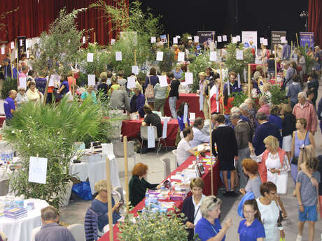 Salon du livre Ile de Ré - « L'île aux livres »