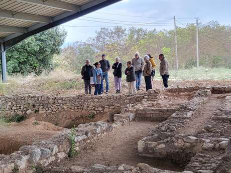 Visite guidée de la villa gallo-romaine des Toulons et dégustation | Vignobles en Scène