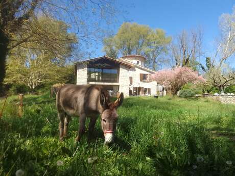 Les Favouilles - Gîte Rural