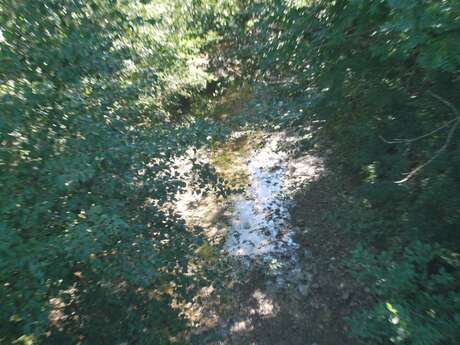 Torrent de la Channe