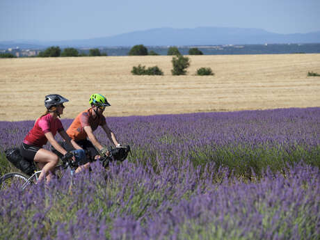 2 jours de vélo GRAVEL - Provence et Verdon