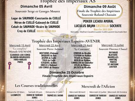 Course camarguaise de Taureaux Jeunes