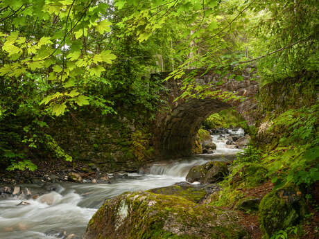 Boucle du Pont des Nants par route forestière - sentier pédestre