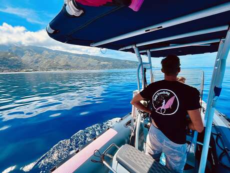 Tahiti Freediving - Sortie Baleines