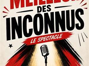 Le meilleur des Inconnus