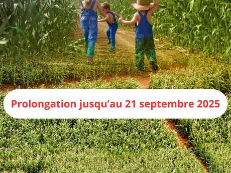 Labyrinthe de maïs - Prolongation