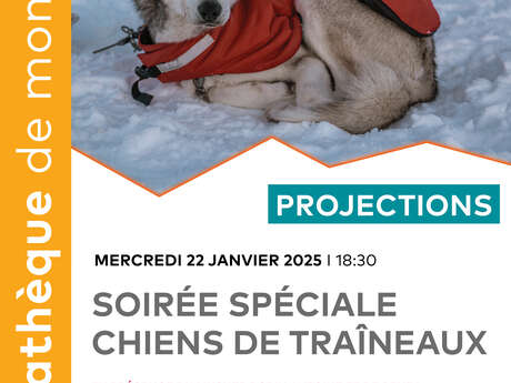 Soirée Chiens de Traîneaux