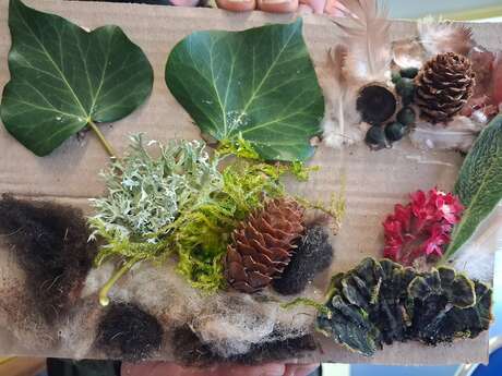 Fabrique ton tableau 100% jardin