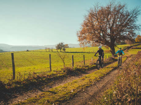 N°G - Circuit Gravel Autour du Rhodon
