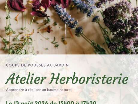 Atelier Herboristerie