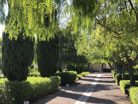 Les jardins de la ville