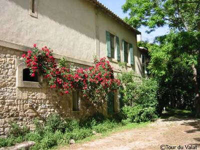 Station biologique de la Tour du Valat