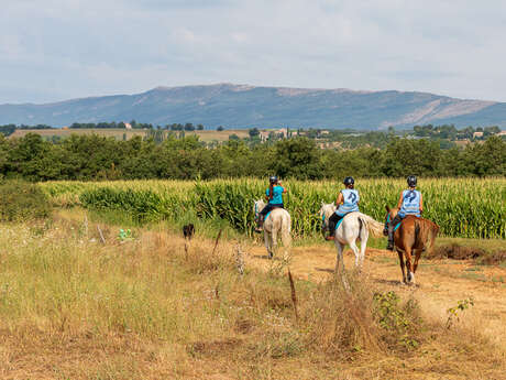 Ferme équestre du Grand Bois