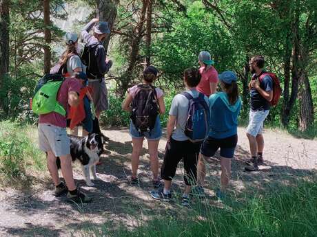 Activités pleine nature avec Guillaume SCHMITT