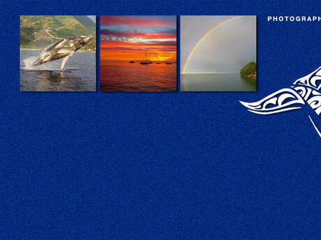 Tahiti Dream Tours - Whale watching tours