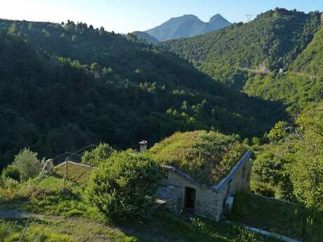 La Baisse de Levens forests