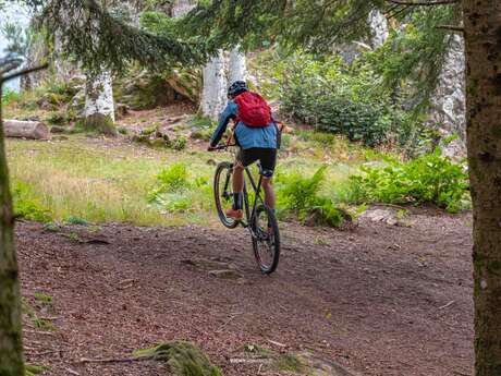 N°50 – Le Gué de la Chaux  - Espace VTT-FFC Massif des Bois Noirs