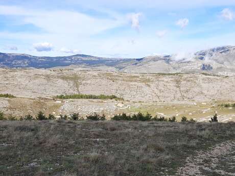 Plateau de Calern