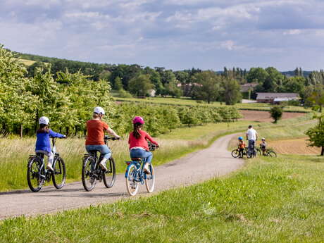 Balade commentée en vélo électrique suivie d'une dégustation