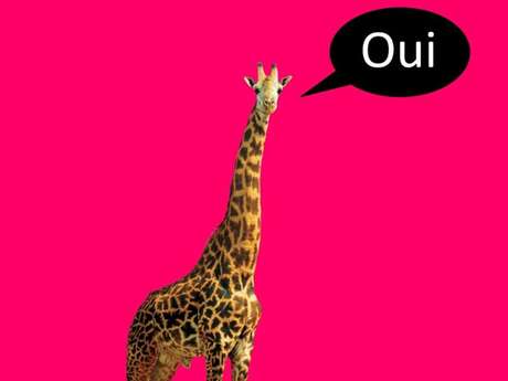 La Terre est plate