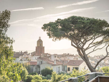 Majestic Villa Services