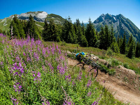 Enduro des Juments - Piste VTT Enduro n°36