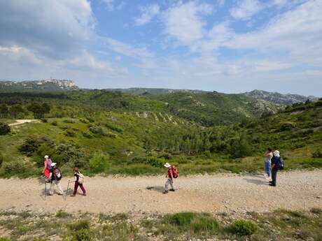 AUREILLE - La Vallongue
