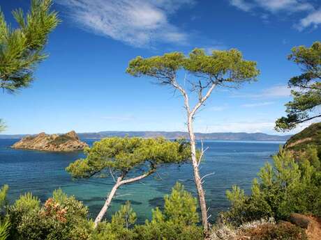 Excursion bateau : Port Cros depuis Ste Maxime