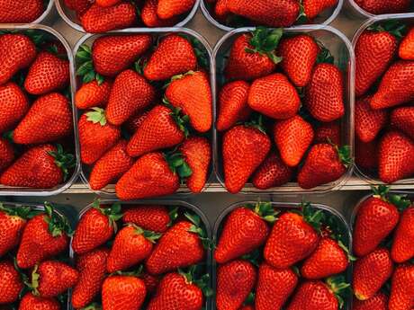 Fête de la Fraise