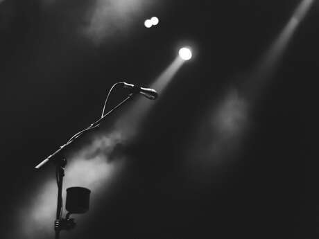 Concert d'Amaury  Vassili :  Revivez la légende Mike Brant