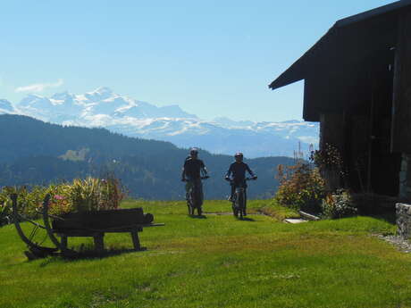 Vélo Nature - Vecteur Montagne
